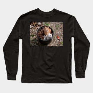 Two Cats in Garden Tub Long Sleeve T-Shirt